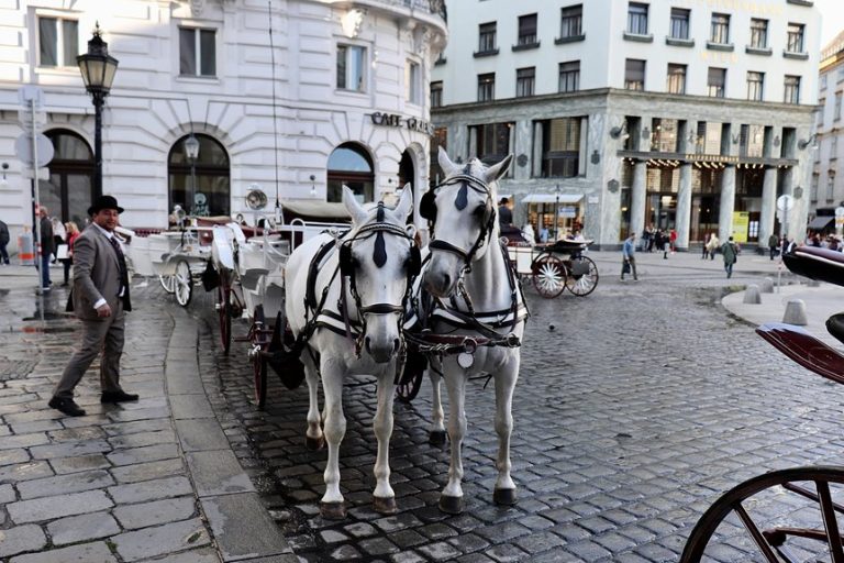 discover kc s hidden gems