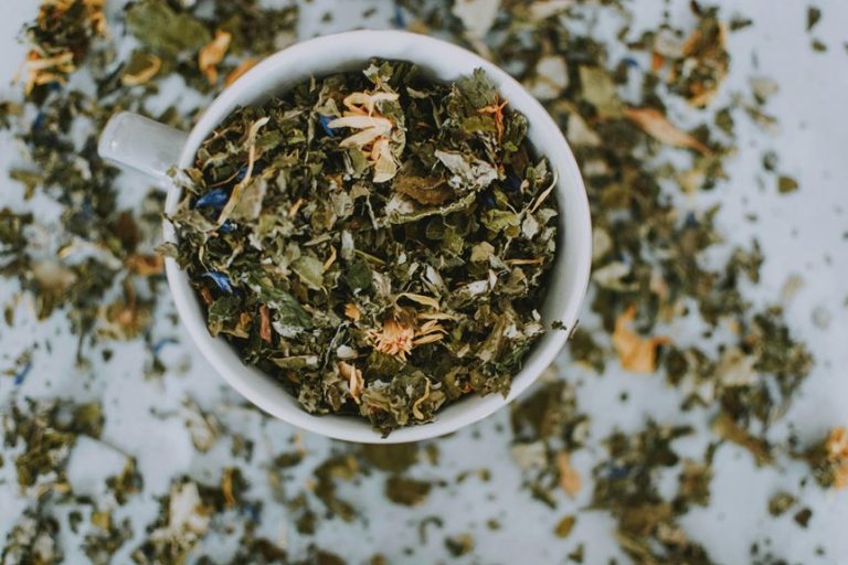 local shops for wellness