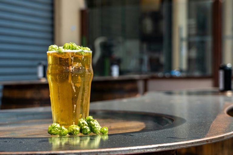 spring beer gardens and breweries