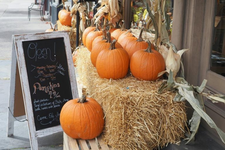 thanksgiving hosting essentials shops