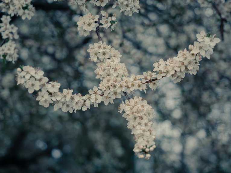 top plant shopping destinations