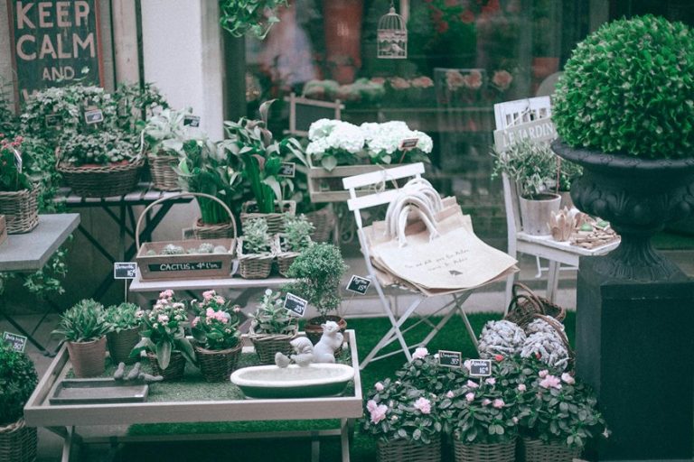 top stores for fall decor