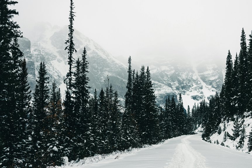 winter hiking trails kansas city