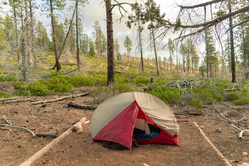 25 day trips kansas