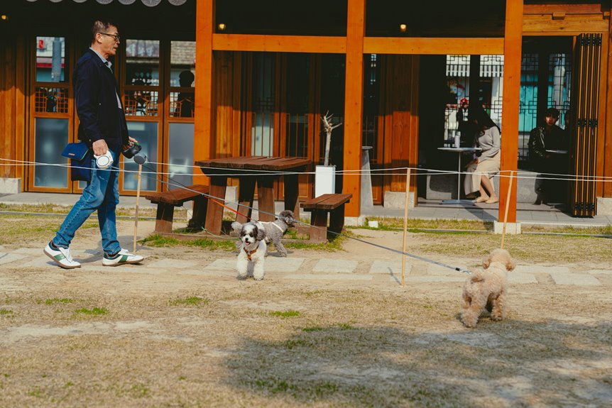 25 dog friendly places