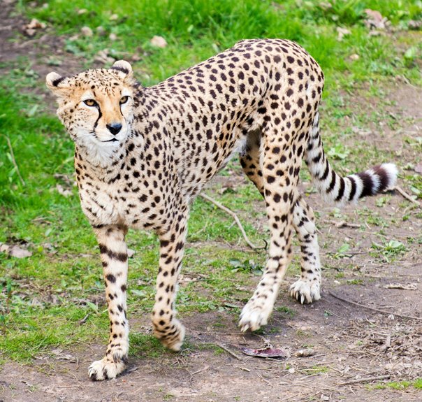 best kansas city breakfasts