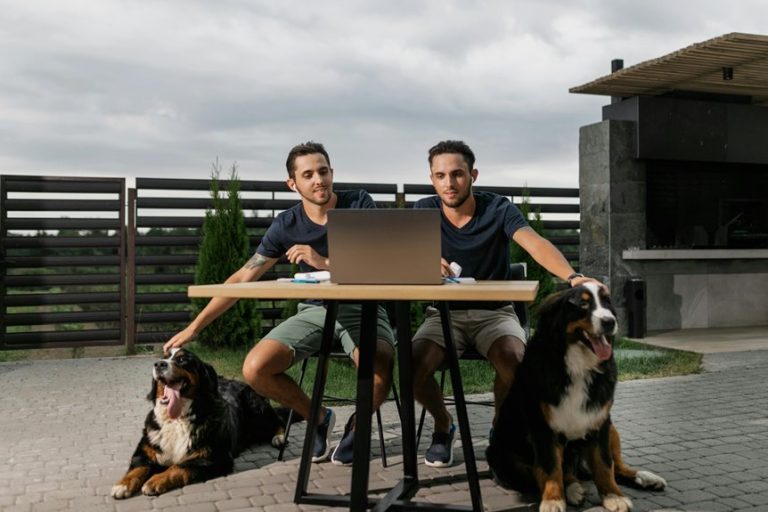 dog friendly patios kansas city